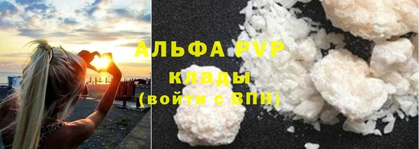 спиды Осинники