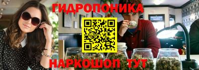 гидра Комсомольск-на-Амуре