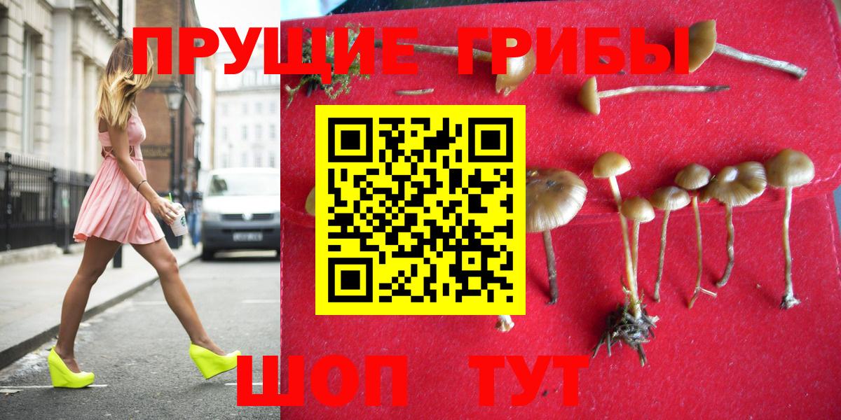 Галлюциногенные грибы MAGIC MUSHROOMS Кореновск