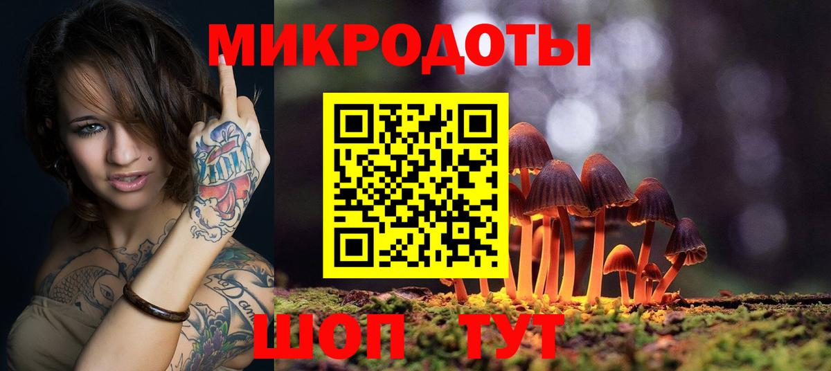 Псилоцибиновые грибы Psilocybe  Кореновск 