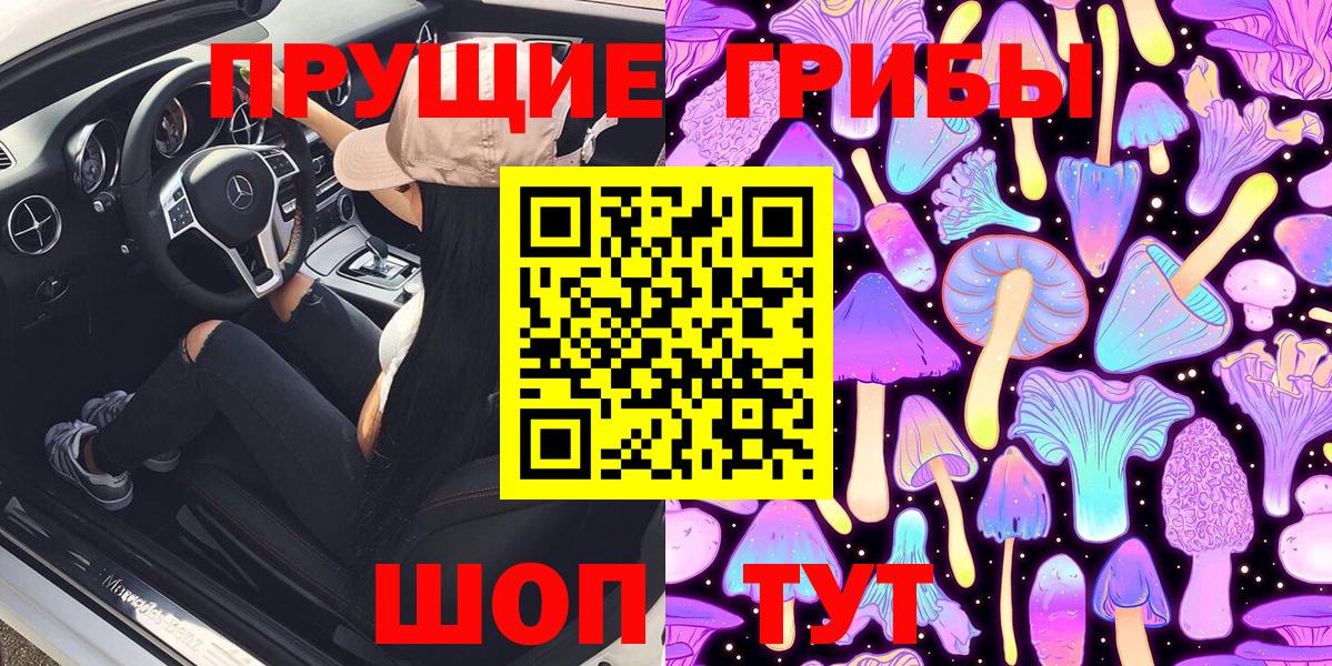 Галлюциногенные грибы Psilocybine cubensis Кореновск